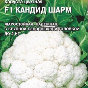Капуста цветная Кандид Шарм F1 15 шт.(Саката) Н15