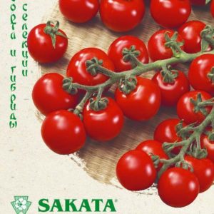 Томат Чери Блосэм F1 8 шт. (Саката) Н15