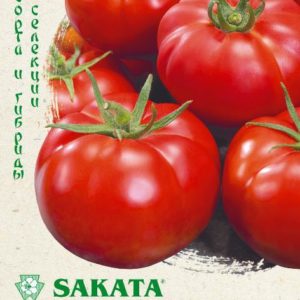 Томат Пабло F1 8 шт. (Саката) Н15