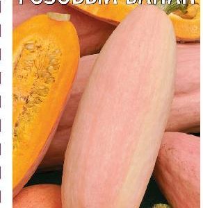 Тыква Розовый банан 2,0 г Н15