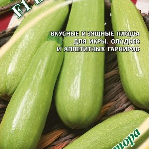 Кабачок Барчук F1 2 г автор. Н15