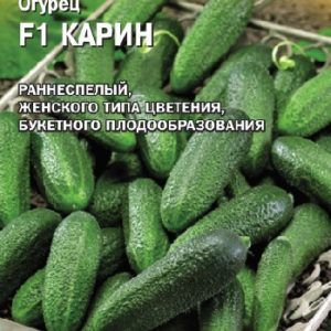 Огурец Карин F1 8 шт. (Голландия)