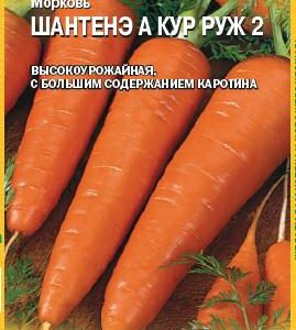 Морковь Шантенэ А Кур Руж 2 1,0 г (Сингента)