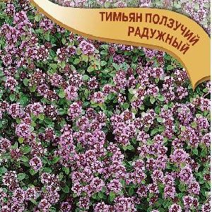 Тимьян ползучий (чабрец) Радужный 0,05 г Н15