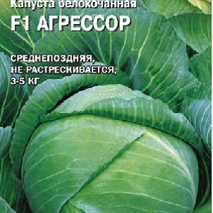 Капуста белокоч. Агрессор F1 10 шт. (Голландия) Н15