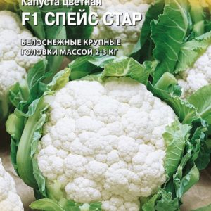 Капуста цветная Спейс Стар F1 10 шт. (Голландия) Н15