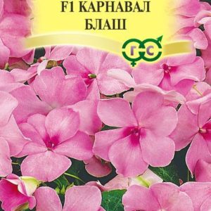 Бальзамин Уоллера F1 Карнавал Блаш 5 шт.* сер. Элитная клумба Н15