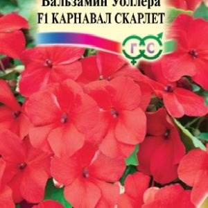 Бальзамин Уоллера F1 Карнавал F1 5 шт.* сер. Элитная клумба Н15