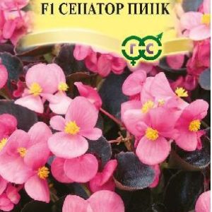 Бегония Сенатор Пинк F1 вечноцв. 4 шт. пробирка сер. Элитная клумба Н15
