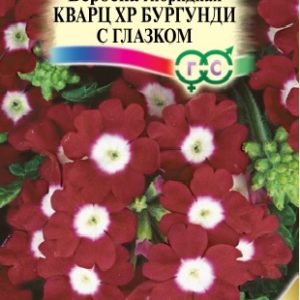 Вербена Кварц XP Бургунди с глазком, гибридная 5 шт.* сер. Элитная клумба Н15