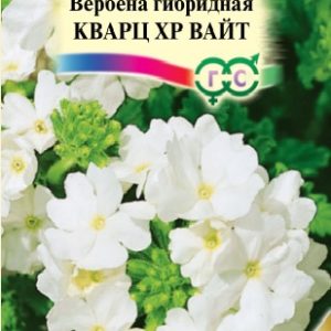 Вербена Кварц XP Вайт, гибридная 5 шт.* сер. Элитная клумба Н15