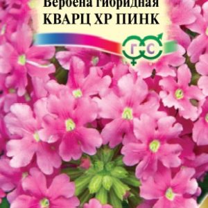 Вербена Кварц XP Пинк, гибридная 5 шт.* сер. Элитная клумба Н15