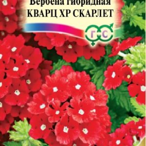 Вербена Кварц XP Скарлет , гибридная 5 шт.* сер. Элитная клумба Н15