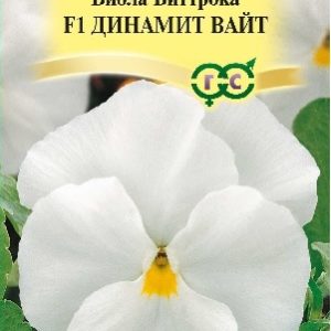 Виола Динамит Вайт F1 Виттрока 5 шт.* сер. Элитная клумба Н15