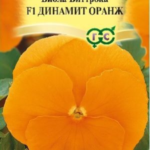 Виола Динамит Оранж F1 Виттрока 5 шт.* сер. Элитная клумба Н15
