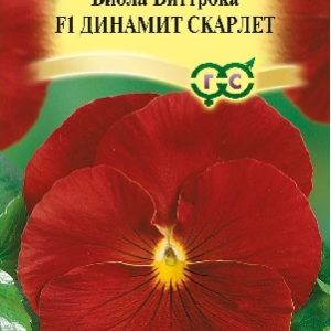 Виола Динамит Скарлет F1 Виттрока 5 шт.* сер. Элитная клумба Н15