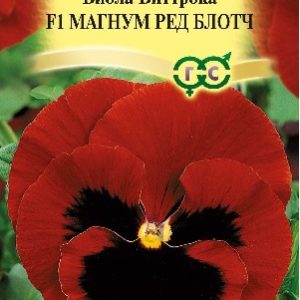 Виола Магнум Ред Блотч F1, Виттрока 5 шт.* сер. Элитная клумба Н15