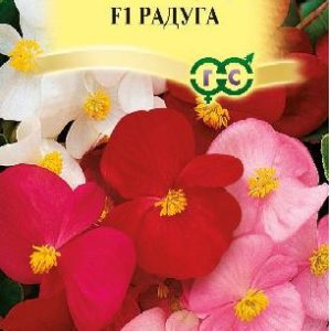 Бегония Радуга F1 вечноцв. смесь, гранул.10 шт. пробирка Н15