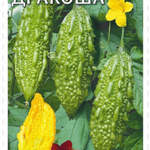 Момордика Дракоша (индийский гранат) 3 шт. Н15