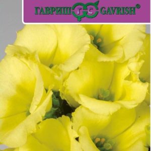 Эустома Фламенко желтая F1 5 шт. гранул. пробирка Саката серия Эксклюзив Н15