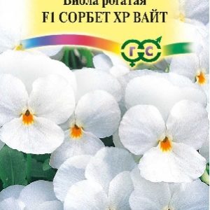 Виола Сорбет XP Вайт F1 рогатая (Анютины глазки) 5 шт.* Н15
