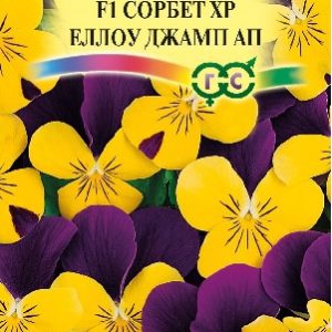 Виола Сорбет XP Еллоу Джамп Ап F1 рогатая (Анютины глазки) 5 шт.* Н15