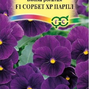 Виола Сорбет XP Парпл F1 рогатая (Анютины глазки) 5 шт.* Н15