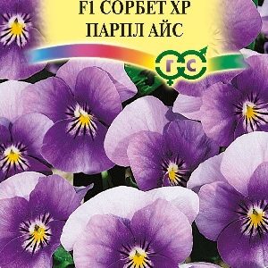 Виола Сорбет XP Парпл Айс F1 рогатая (Анютины глазки) 5 шт.* Н15