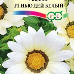 Гацания Нью Дей Белый F1 5 шт. пробирка сер. Элитная клумба Н15