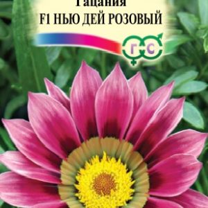 Гацания Нью Дей Розовый F1 5 шт. пробирка сер. Элитная клумба Н15
