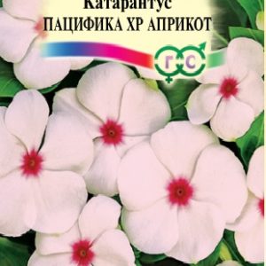 Катарантус Пацифика XP Априкот 7 шт.* Элитная клумба Н15