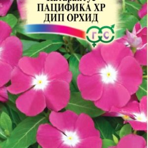 Катарантус Пацифика XP Дип Орхид 7 шт.* Элитная клумба Н15