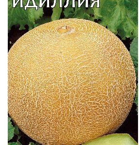 Дыня Идиллия 5 шт.