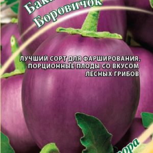 Баклажан Боровичок 0,3 г автор. Н15