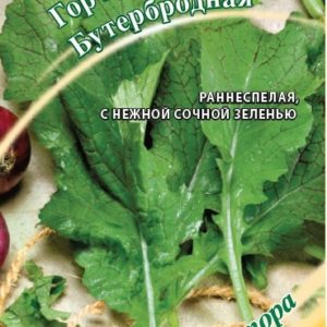 Горчица салатная Бутербродная