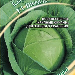 Капуста белокочанная F1 Витязь