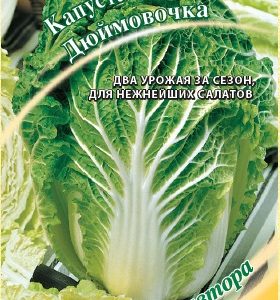Капуста пекинская Дюймовочка