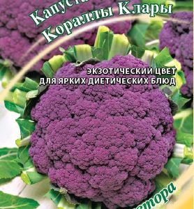 Капуста цветная Кораллы Клары