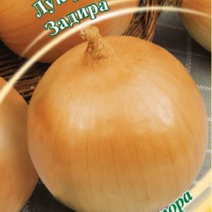 Лук репч. Задира 1,0 г автор. Н15