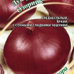 Лук репч. Озорник 1,0 г автор. Н15