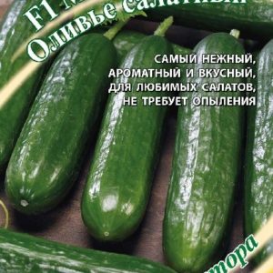 Огурец Месье Оливье салатный F1 10 шт. автор Н15