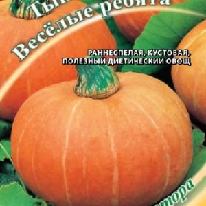 Тыква Веселые ребята 2,0 г автор. Н15