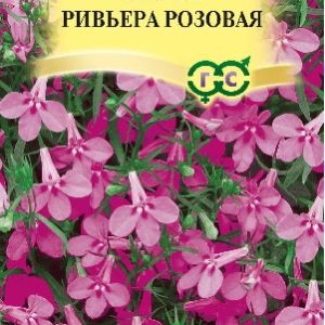 Лобелия Ривьера Розовая 5 шт.пробирка сер. Элитная клумба Н15