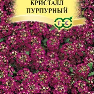 Лобулярия Кристалл Пурпурный 0,1 г * сер. Элитная клумба Н15