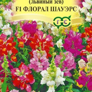 Львиный зев Флорал Шауэрс F1 (Антирринум) 10 шт.* Саката сер. Элитная клумба Н15