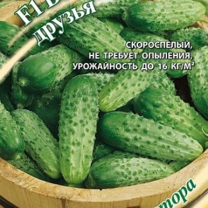 Огурец Веселые друзья F1 10 шт. корнишон автор.