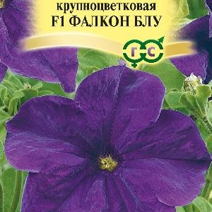 Петуния Фалкон Блу F1 крупноцв. 5 шт.пробирка сер. Элитная клумба Н15