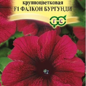 Петуния Фалкон Бургунди F1 крупноцв. 5 шт.пробирка сер. Элитная клумба Н15