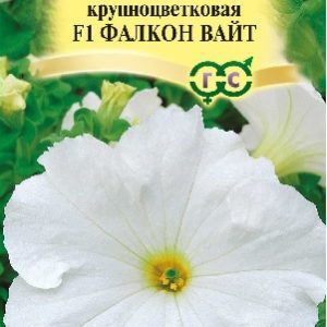 Петуния Фалкон Вайт F1 крупноцв. 5 шт.пробирка сер. Элитная клумба Н15