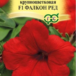Петуния Фалкон Ред F1 крупноцв. 5 шт.пробирка сер. Элитная клумба Н15
